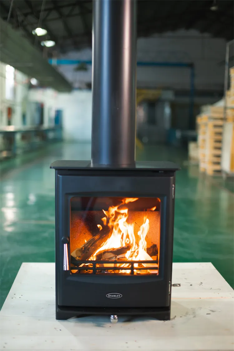 Medienos deginimo įdėklas